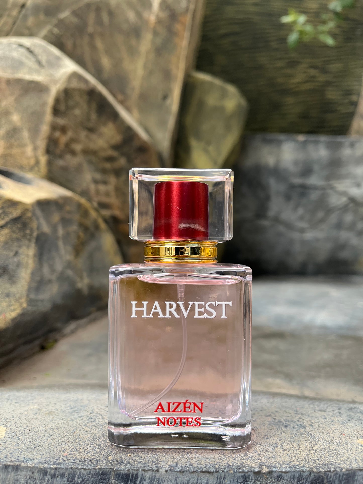 Harvest (For Her) Inspired By Versace Pink