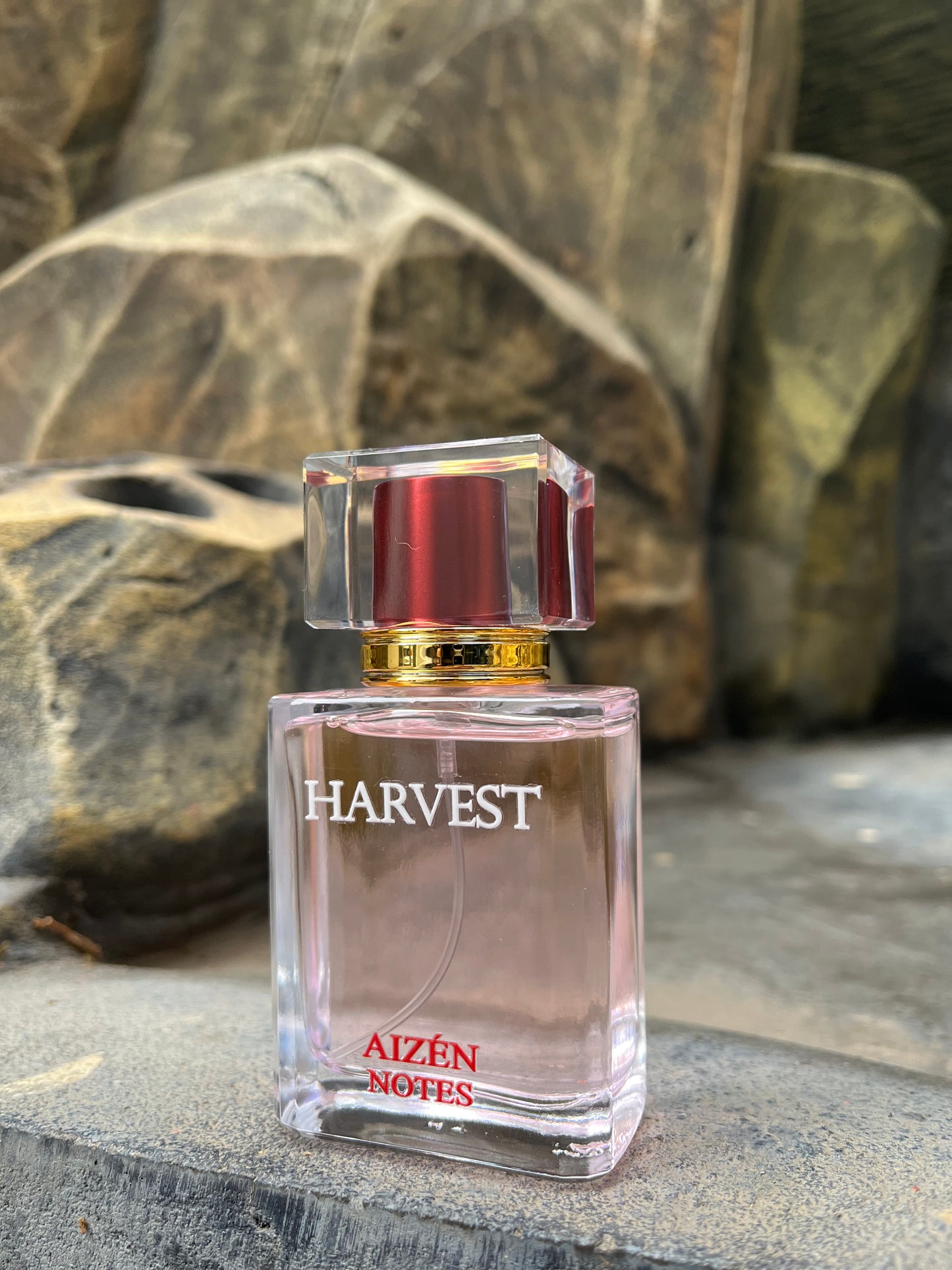 Harvest (For Her) Inspired By Versace Pink